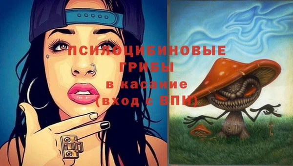 дмт Кукмор