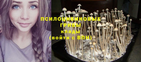 соль ск Кинешма